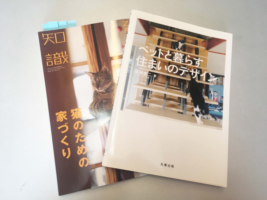 猫のお勉強！　