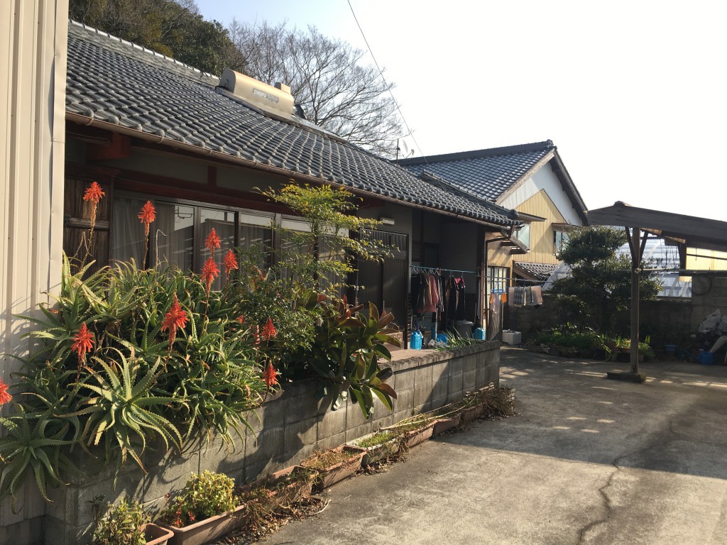 みなべの家：解体前の瓦屋根の平屋と、庭先の植栽