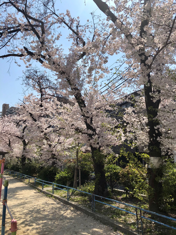 密ではありません
