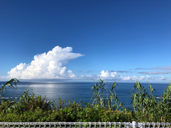 印南の家：現地近くから望む、青い海と水平線に広がる白い夏雲